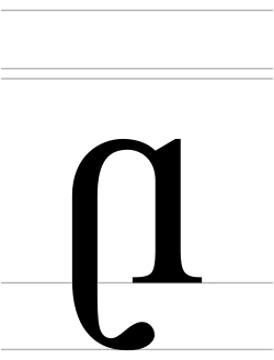 Image illustrative de l’article 𝼇