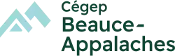 Image illustrative de l’article Cégep Beauce-Appalaches