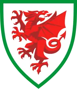 Image illustrative de l’article Fédération de football de Galles