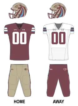 Description de l'image Michigan Panthers UFL Uniform (2024).svg.