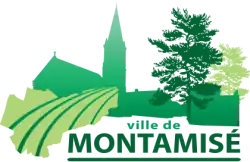 Image illustrative de l’article Montamisé