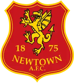 Logo du Newtown AFC