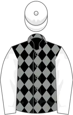 Image illustrative de l’article Saumarez (cheval)