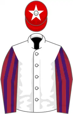 Image illustrative de l’article Laurens (cheval)