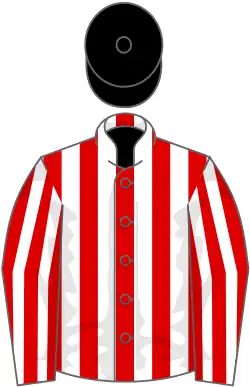 Image illustrative de l’article Hula Dancer