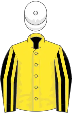 Image illustrative de l’article User Friendly (cheval)