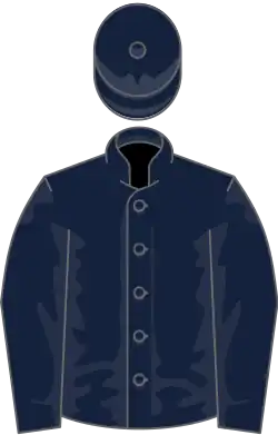 Image illustrative de l’article Hawk Wing