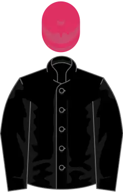 Image illustrative de l’article Easy Goer