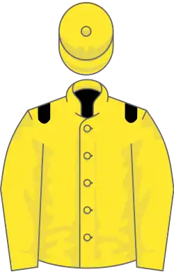 Image illustrative de l’article Mtoto (cheval)