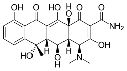 Image illustrative de l’article Oxytétracycline