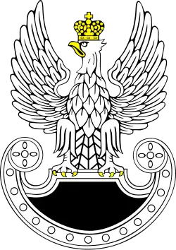 Image illustrative de l’article Forces spéciales polonaises