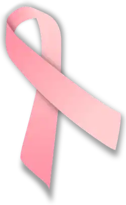 Description de l'image Pink ribbon.svg.