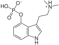 Image illustrative de l’article Psilocybine