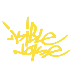 logo de Visible Noise
