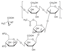 Image illustrative de l’article Gomme xanthane