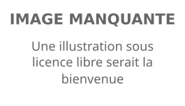 Image illustrative de l’article Anthony Ricketts