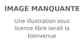 Image illustrative de l’article Semaj Christon