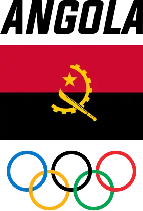 Image illustrative de l’article Comité olympique angolais
