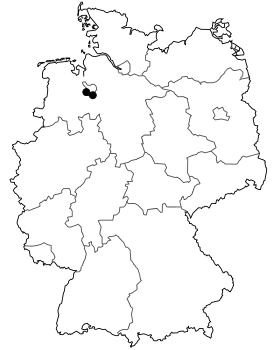 Image illustrative de l’article Bundesstraße 322