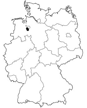 Image illustrative de l’article Bundesstraße 439