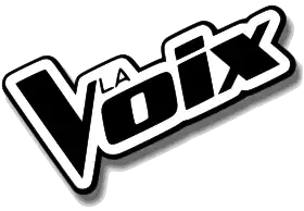 Image illustrative de l’article La Voix (émission de télévision)