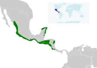 Description de l'image Amazilia rutila map.svg.