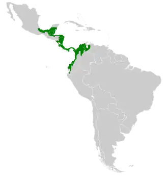 Description de l'image Amazilia tzacatl map.svg.