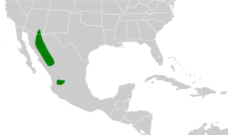 Description de l'image Amphispiza quinquestriata map.svg.