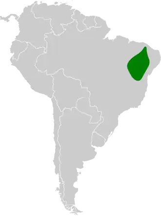 Description de l'image Anopetia gounellei map.svg.