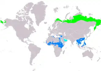 Description de l'image AnthusCervinusIUCN.svg.