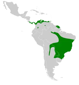 Description de l'image Antrostomus rufus map.svg.