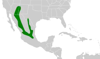 Description de l'image Aphelocoma wollweberi map.svg.