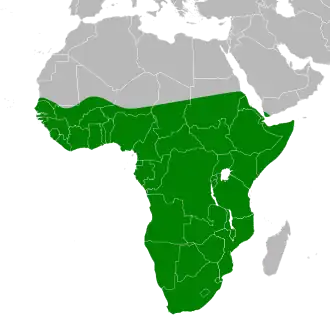 Description de l'image Ardea melanocephala map.svg.