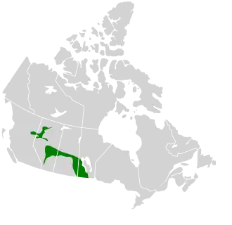 Description de l'image Aspen-Parkland.svg.