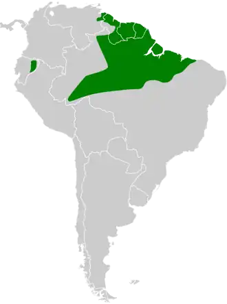 Description de l'image Avocettula recurvirostris map.svg.