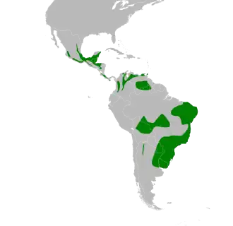 Description de l'image Basileuterus culicivorus map.svg.