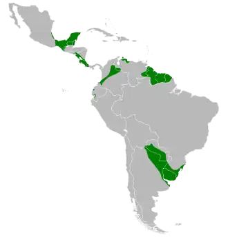 Description de l'image Botaurus pinnatus map.svg.