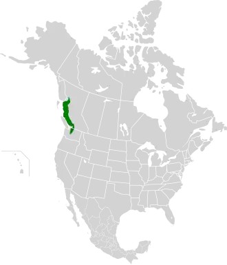 Description de l'image British Columbia mainland coastal forests map.svg.
