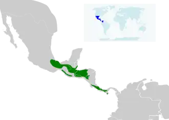 Description de l'image Campylopterus hemileucurus map.svg.