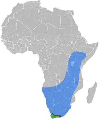 Description de cette image, également commentée ci-après