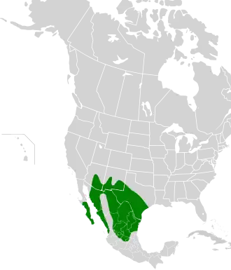 Description de l'image Cardinalis sinuatus map.svg.