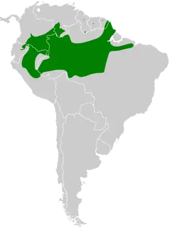 Description de l'image Certhiasomus stictolaemus map.svg.