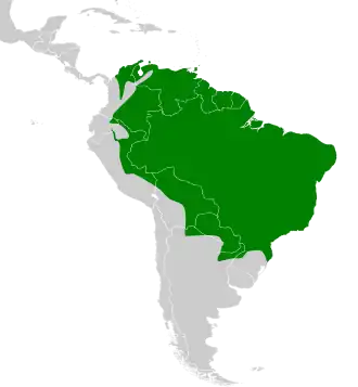 Description de l'image Cnemotriccus fuscatus map.svg.