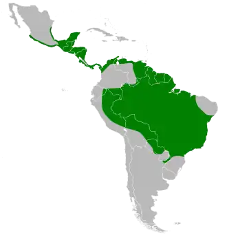 Description de l'image Cochlearius cochlearius map.svg.