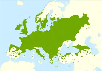 Description de l'image Corylus avellana range.svg.