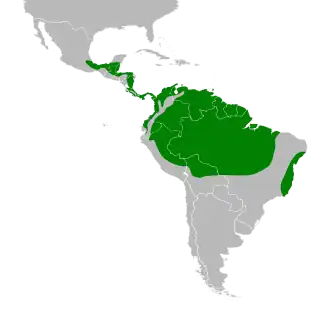 Description de l'image Crypturellus soui map.svg.