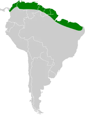 Description de l'image Cynomops greenhalli map.svg.