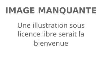Description de l'image défaut.svg.