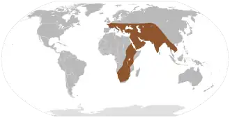 Description de cette image, également commentée ci-après