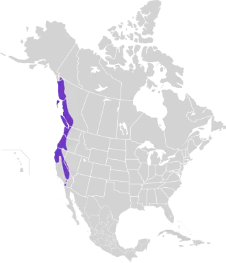 Description de l'image Dendragapus fuliginosus map.svg.